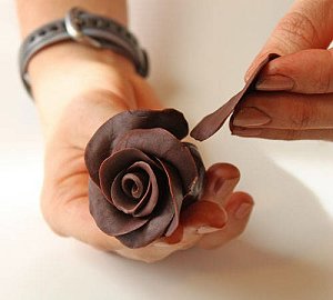 chocolate-rose-9a