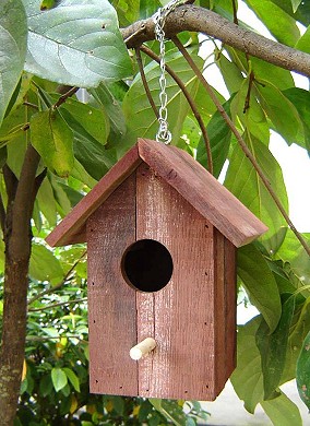 Δημιουργήστε έναν κήπο φιλικό στα πουλιά