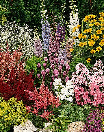 Καλλιεργήστε ποώδη πολυετή φυτά και λουλούδια από σπόρο