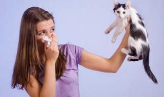Αλλεργικοί στις γάτες; Όχι πια, χάρη στην βιοτεχνολογία!