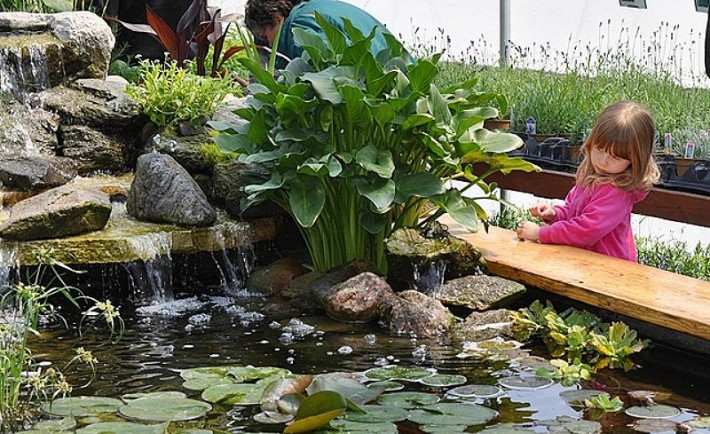 Δημιουργήσετε μια λίμνη με υδρόβια φυτά σε εσωτερικό χώρο