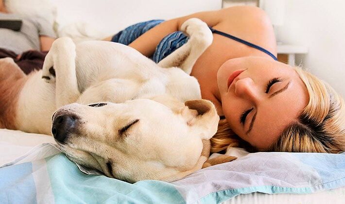 Ο ύπνος δίπλα σε έναν σκύλο μπορεί να βοηθήσει στη θεραπεία της αϋπνίας