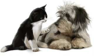 cat-dog-talking-AI